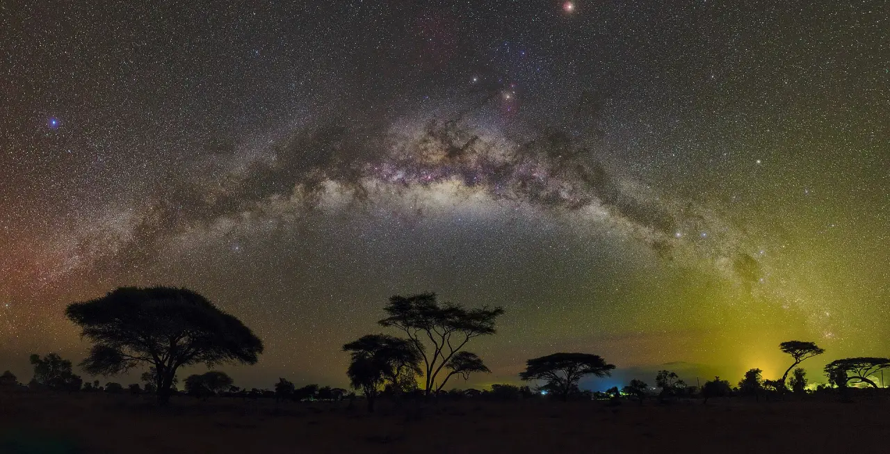 The Milky Way arching over acacia trees in Amboseli National Park, Kenya