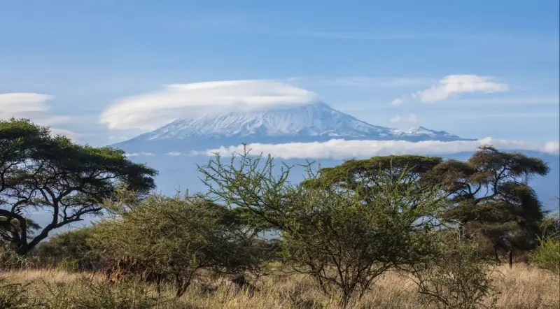 Snow-capped Kilimanjaro rising above acacia bush and a band of cloud