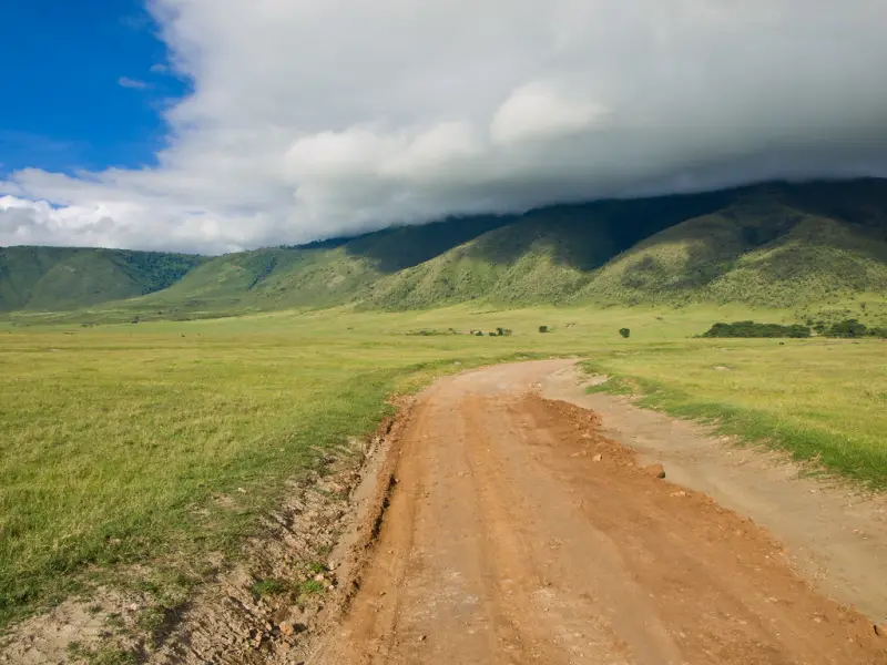 A dirt road running across the green floor of the Ngorongoro Crater below the rim