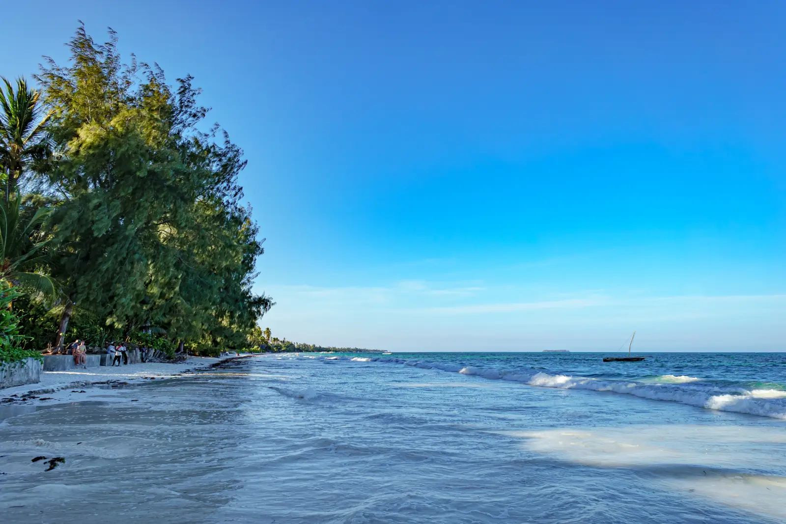 Casuarina trees along a white beach at Nungwi, with a dhow on clear blue water