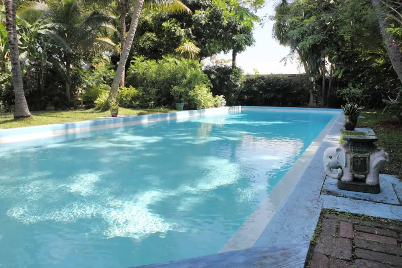 A still turquoise plunge pool edged with stone and palms