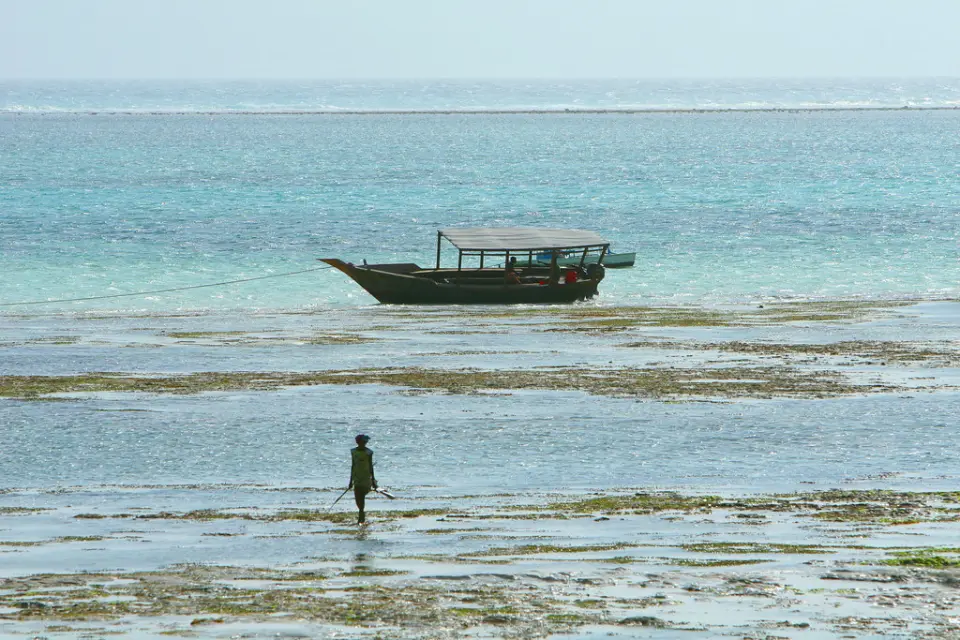 A boat resting in shallow water with a figure walking the tidal flats